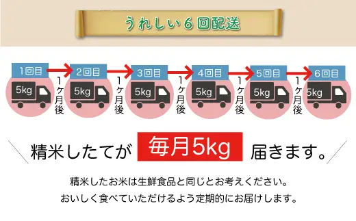 ＜令和8年産＞  はえぬき 【無洗米】30kg定期便 (5kg×6回） 山形県真室川町　お申し込み完了後２週間程度で発送　◆RR8H3005M-M9999