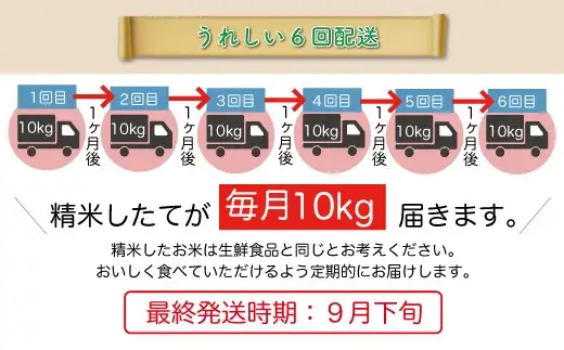 ＜令和8年産＞  はえぬき 【白米】60kg定期便(10kg×6回） 山形県真室川町　お申し込み完了後２週間程度で発送　◆RR8H6010M-H9999