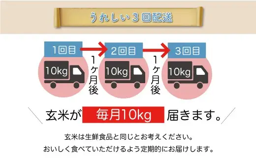 ＜令和8年産＞  特別栽培米 つや姫 【玄米】30kg 定期便 (10kg×3回） 山形県真室川町 　お申し込み完了後２週間程度で発送　◆RR8T3010M-G9999