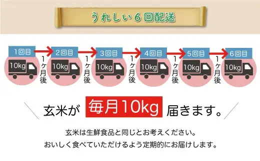 ＜令和8年産＞  特別栽培米 つや姫 【玄米】60kg定期便(10kg×6回） 山形県真室川町　お申し込み完了後２週間程度で発送　◆RR8T6010M-G9999