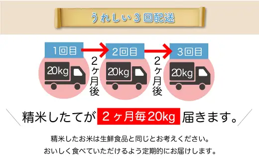 ＜令和8年産＞  雪若丸 【白米】60kg定期便(20kg×3回） 山形県真室川町　お申し込み完了後２週間程度で発送　◆RR8Y6020M-H9999