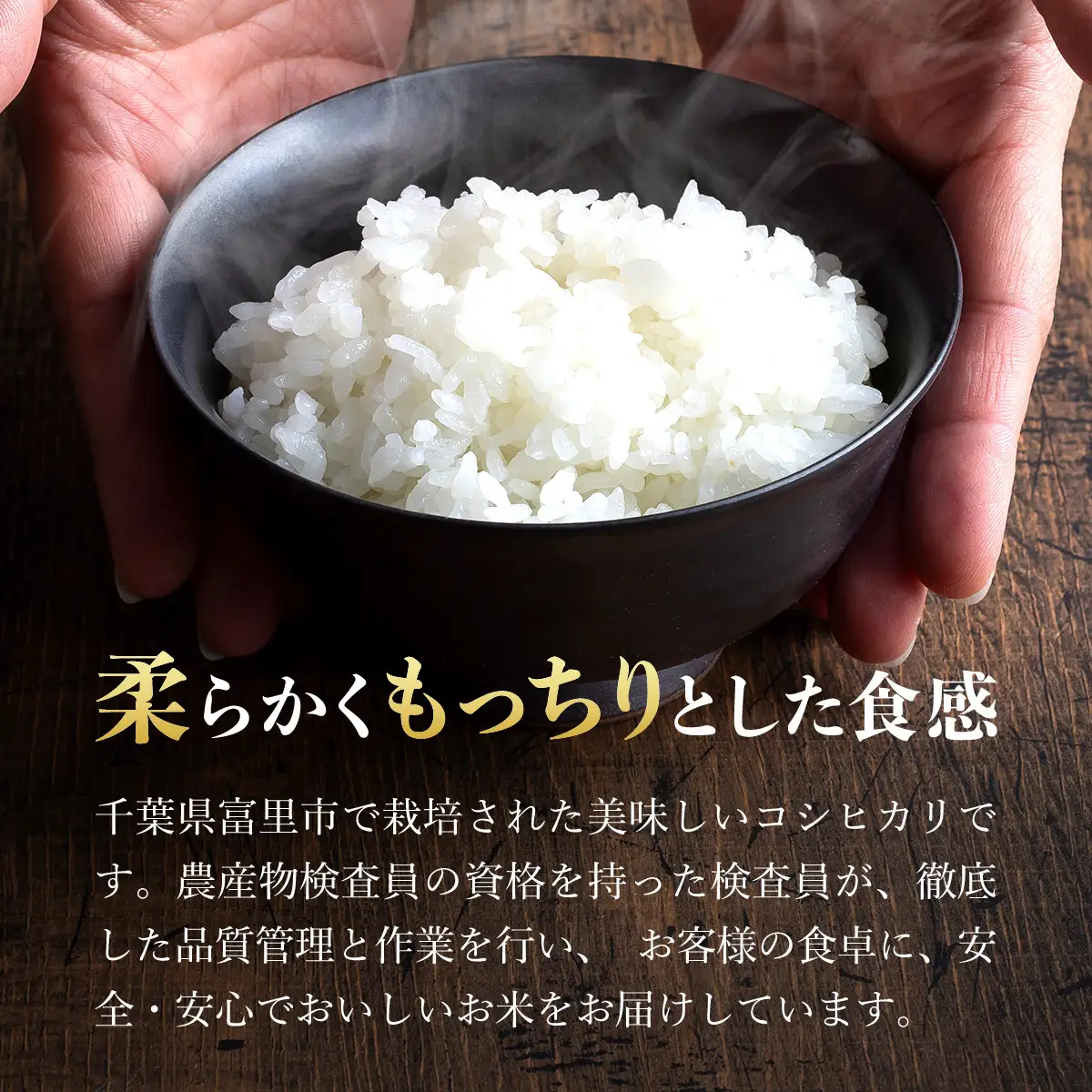 【令和8年産】千葉県富里市産 こしひかり 精米5kg TTMAA001