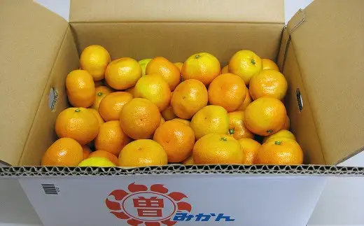 香川県産 ゆら早生みかん 約5㎏　L-S　約40-60個_Z2600552