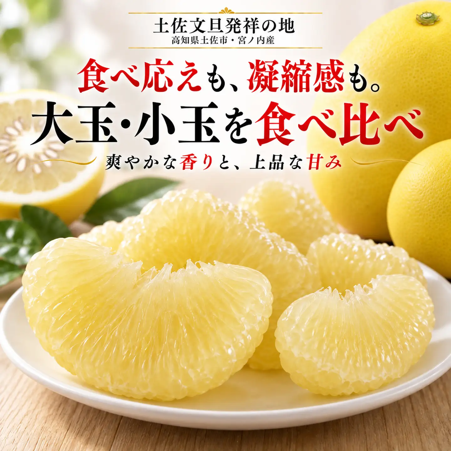 土佐文旦 大小混合 3kg 家庭用 先行予約 文旦[BQAC044]