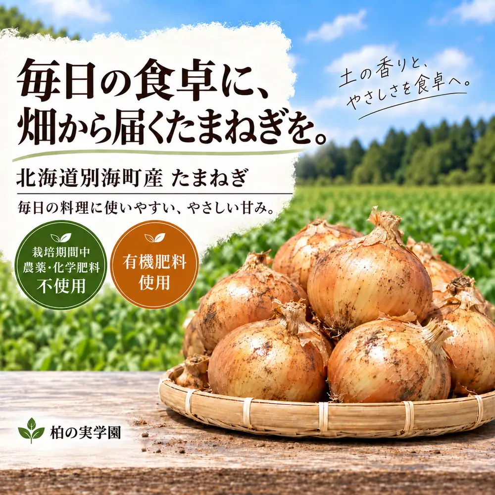 北海道 別海町産 玉ねぎ 10kg セット 農薬・化学肥料不使用 有機肥料 育ち （ ふるさと納税 野菜 訳あり やさい 無農薬 北海道 別海町 ）
