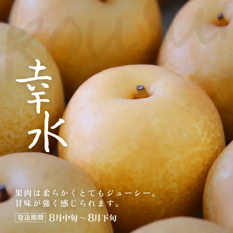 近ちゃん梨 食べ比べセット 合計6kg 【幸水・豊水】 各3kg 定期便2027年8月9月発送 [B-6304]