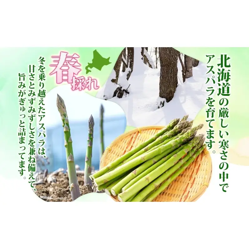 北海道 洞爺湖町産 グリーンアスパラ 約1kg L～2L混合 5月下旬頃お届け 先行受付 路地 アスパラ アスパラガス 野菜 農作物 サラダ 天ぷら 新鮮 国産 人気 お取寄せ 産地直送 冷蔵 洞爺湖