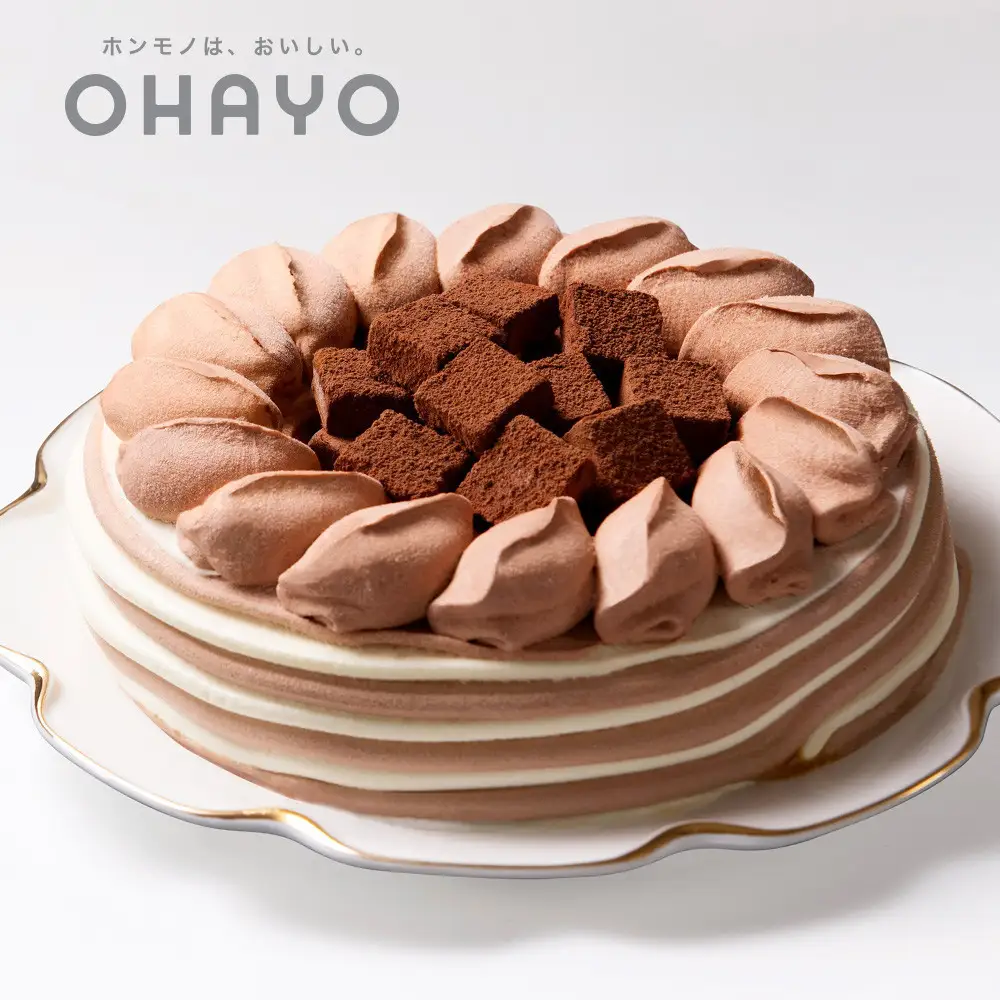 オハヨー乳業 生チョコアイスデコレーション 6号 17cm アイスケーキ ギフト