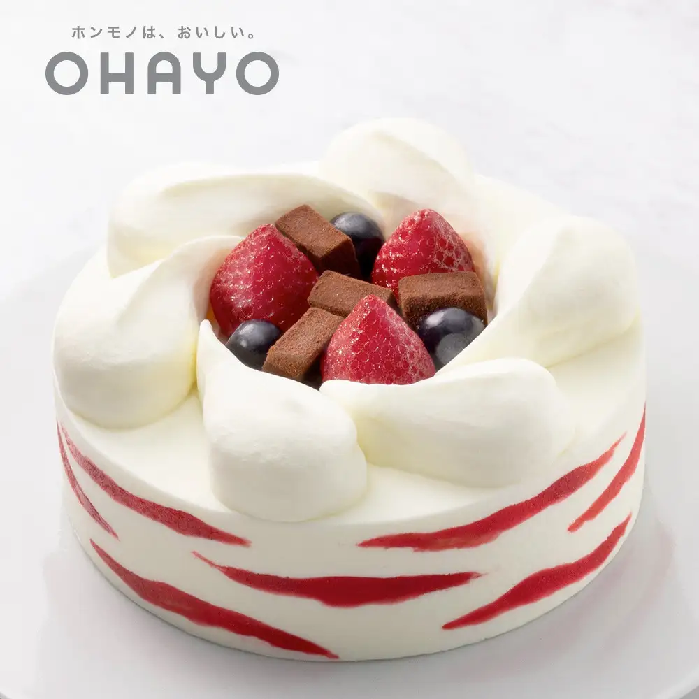 オハヨー乳業 生チョコ＆ベリーのアイスクリームケーキ 5号 15cm アイスケーキ ギフト