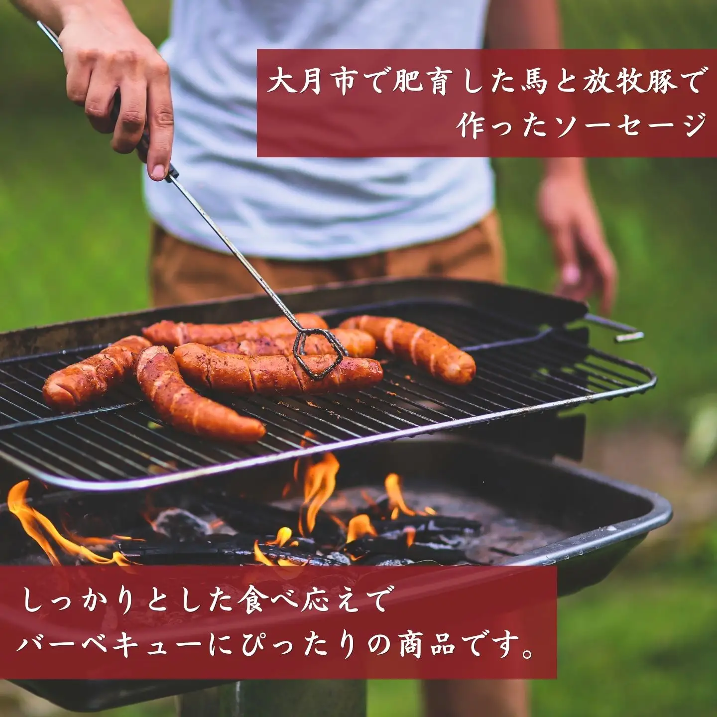 馬豚（バトン）ソーセージ 26本（馬肉70％・豚肉30％）