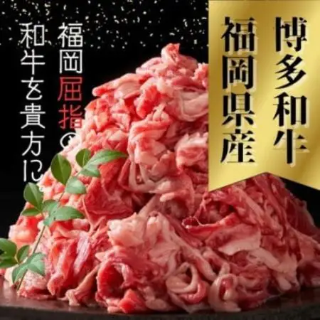 【訳あり】【A4～A5ランク】博多和牛 切り落とし 500g(250g×2)(大牟田市)【配送不可地域：離島】【2000462】