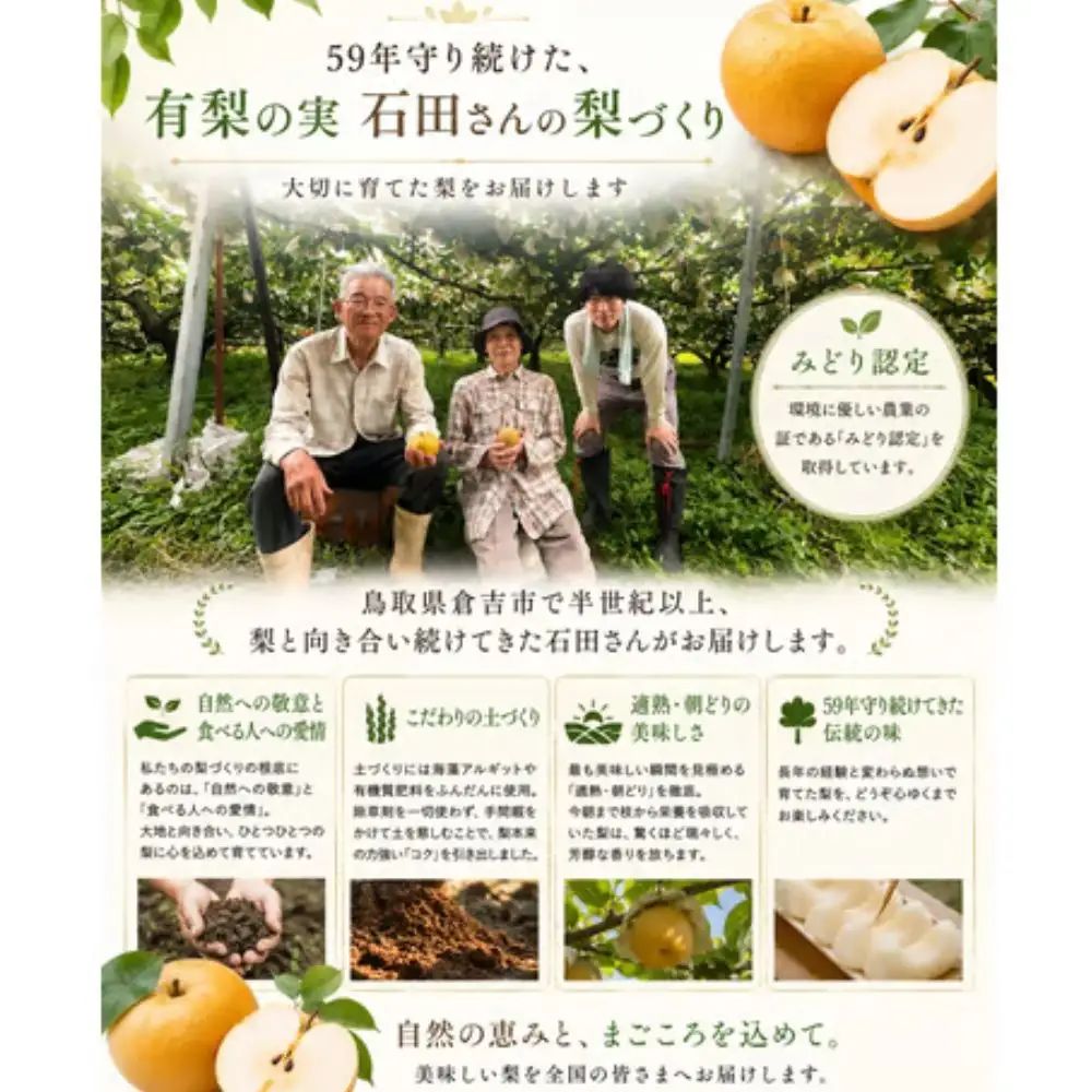 あたご梨【進物用】5kg（有梨の実　石田） 梨 果物 フルーツ あたご 進物 贈答用