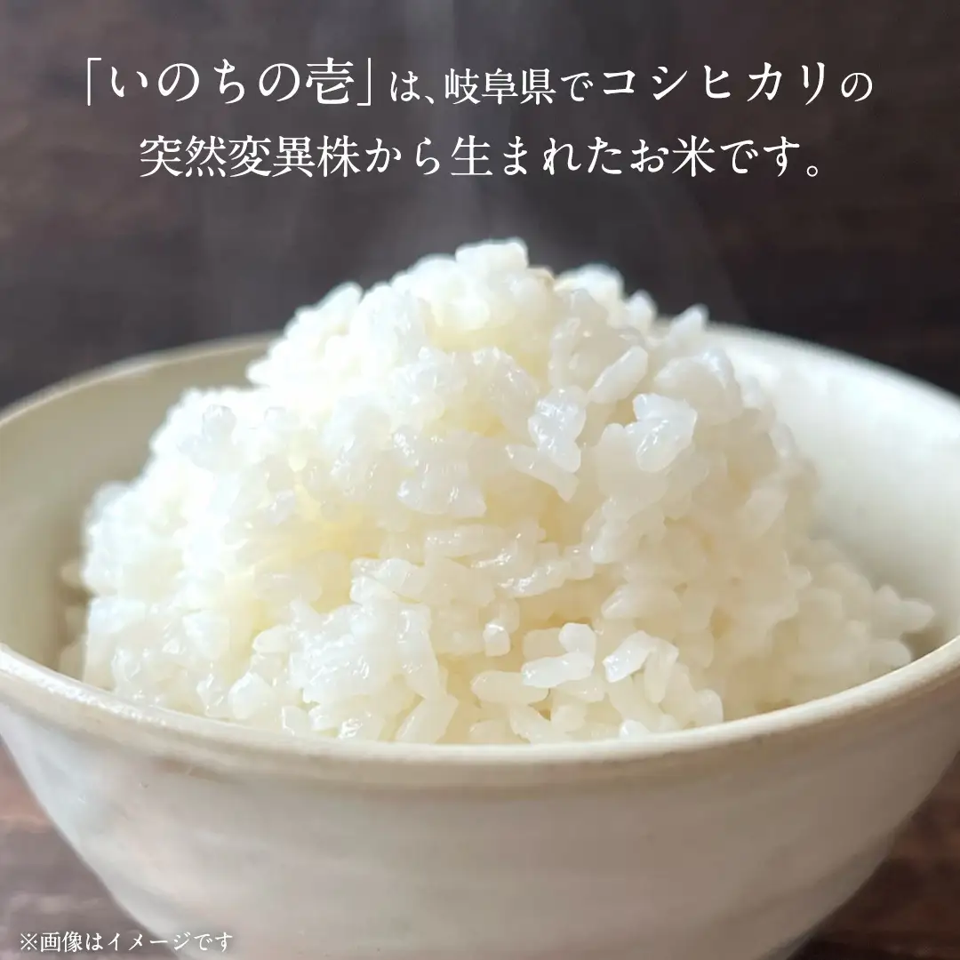 茨城県城里町産 いのちの壱 5kg (2026年産)  米 こめ (AL001)