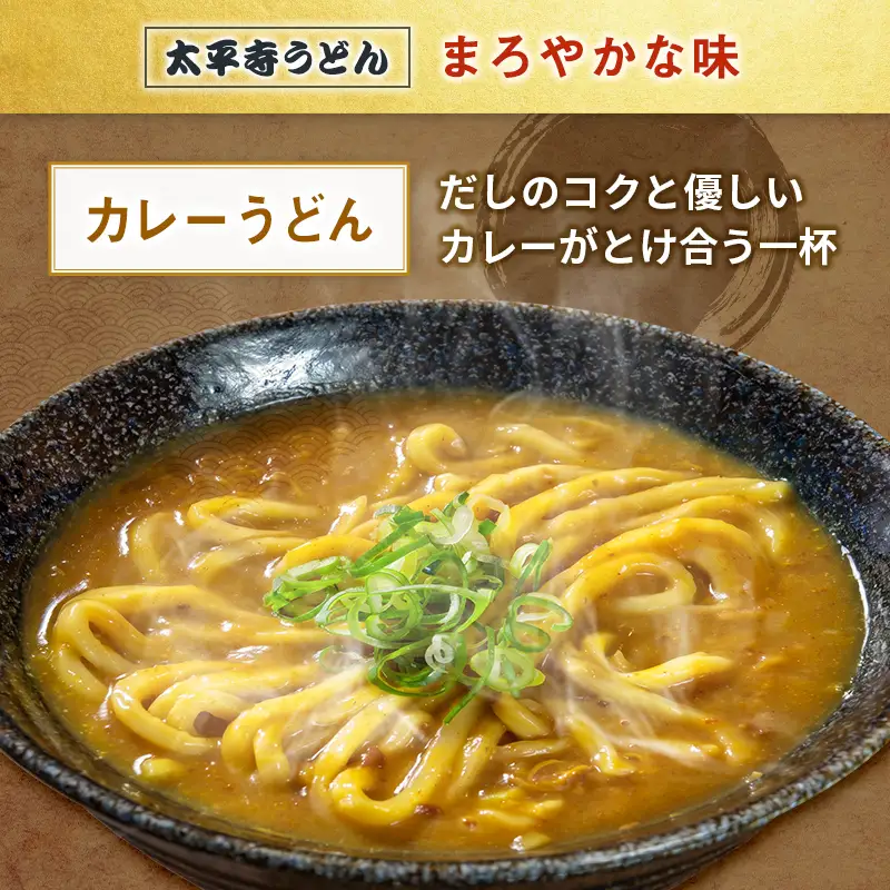 【3営業日以内発送!!】カレーうどん カレー 冷凍 天然だし 自家製麺 つゆ付き 簡単調理