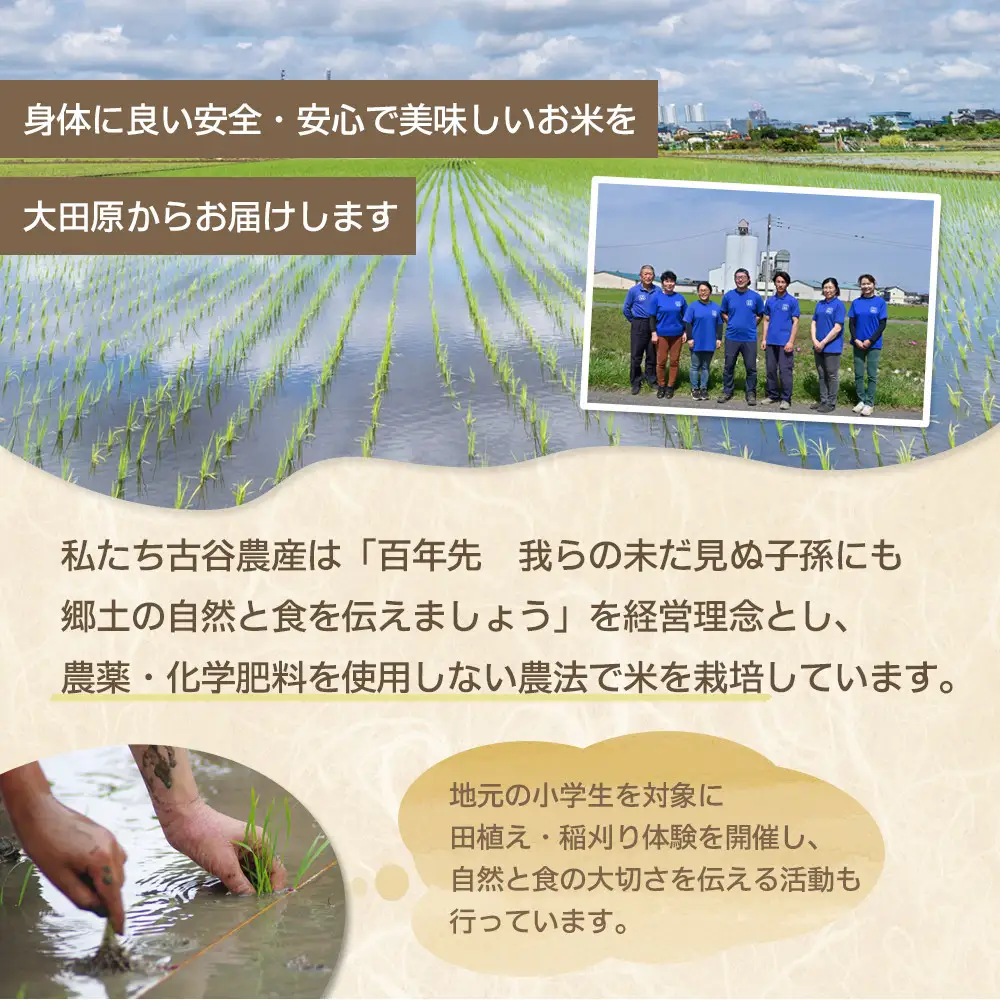 【令和8年産米 数量限定】古谷農産の無農薬・無化学肥料で栽培したコシヒカリ（玄米2キロ） ｜米 コメ  2kgコシヒカリ こしひかり 農家直送 産地直送 産直