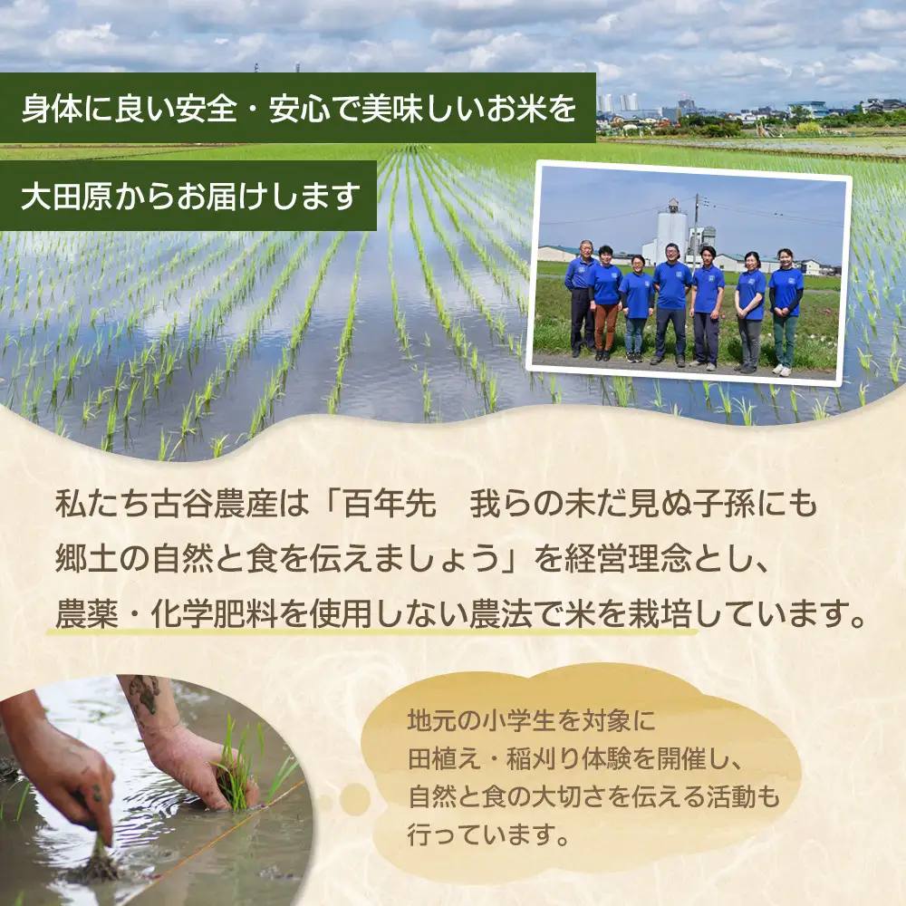 【令和8年産米 数量限定】古谷農産の無農薬・無化学肥料で栽培したコシヒカリ（精米10キロ） ｜米 コメ  白米 10kg コシヒカリ こしひかり 農家直送 産地直送 産直