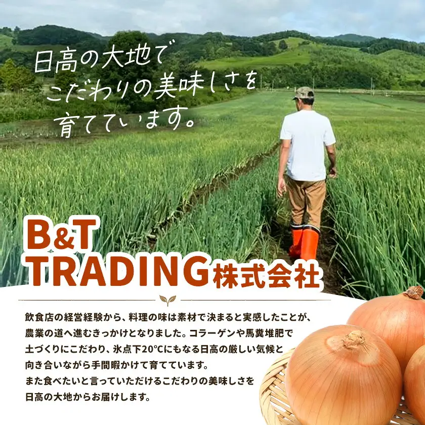 野菜 北海道野菜 じゃがいも 3kg 玉ねぎ 7kg 計10kg B&T TRADING株式会社