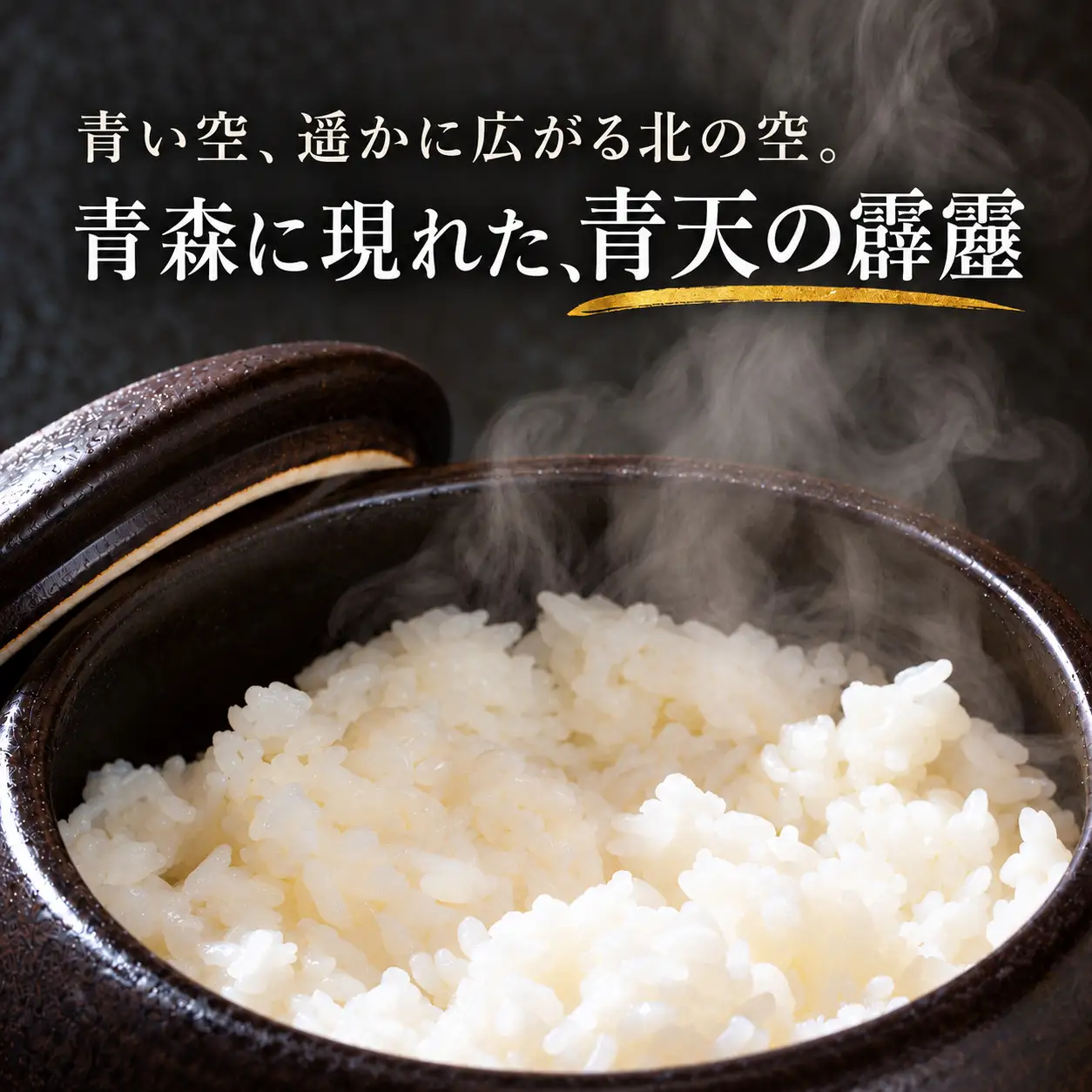 米【12月発送開始】青天の霹靂 3カ月定期便 白米10kg(5kg×2袋) 青森県産 特Aブランド米