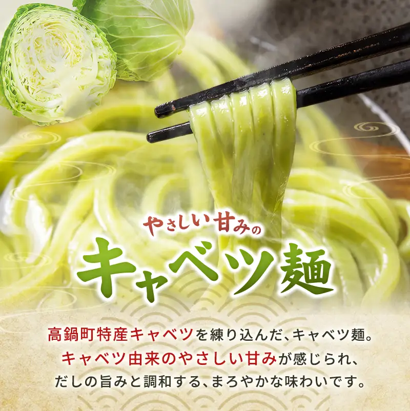 【3営業日以内発送!!】宮崎 名物 釜揚げ うどん キャベツ 麺 2人前