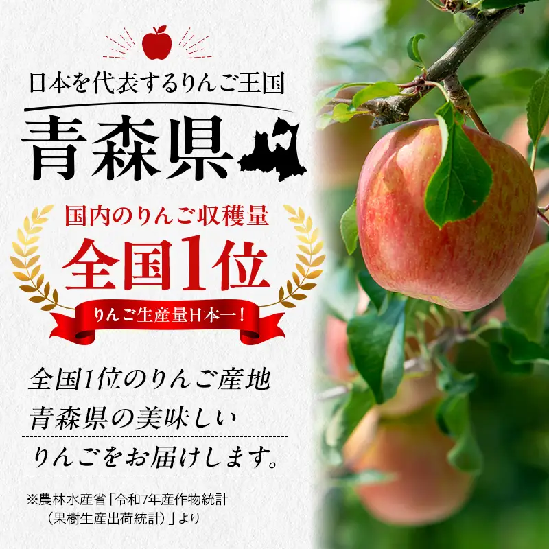 青森県 南部町産 濃厚りんご サンふじ 約3kg 【アグリーデザイン】 F21U-731