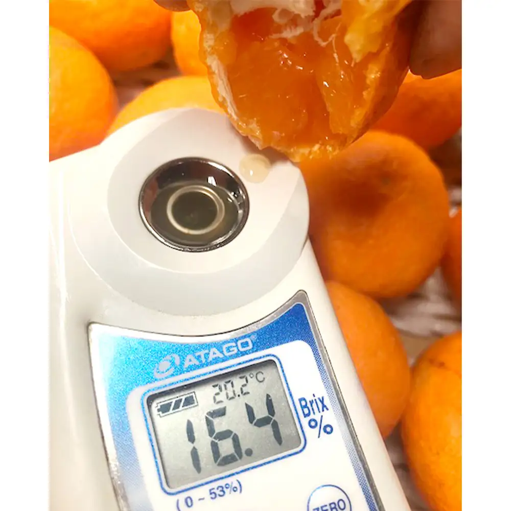 【平均糖度14度以上】Nファーム 奇跡の有田みかん 5kg 2S～Mサイズ混合