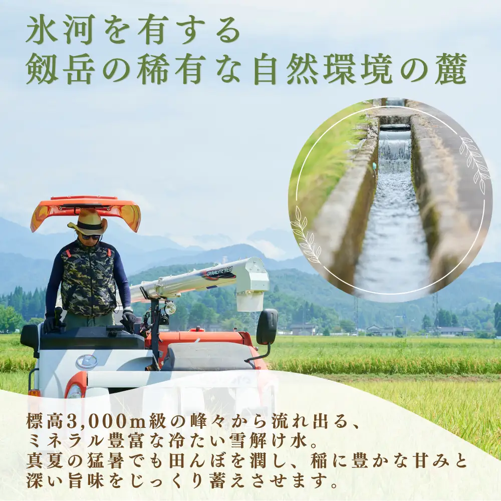 【食味検査Sランク】令和8年産 栽培期間中農薬不使用 上市町湯神子産コシヒカリ（白米）2kg 新米 2キロ こしひかり 白米 精米 おにぎり お弁当 農薬不使用 有機肥料 富山県産 富山県 上市町 湯神子 剱岳 雪解け水 富山米 国産 少量 お試し 一人暮らし 家族 毎日 低温乾燥 樋口農園 ソムリエH ごはんソムリエ 環境にやさしい 贈り物 ギフト 産地直送 ごはん 米 お米 こめ おこめ コメ