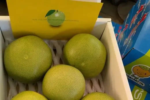 【贈答用】水晶文旦 3.0kg(約5玉～7玉) sq-0016