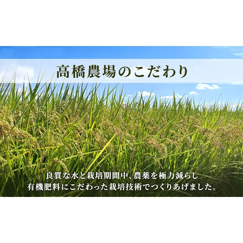 定期便 3回配送 令和8年産 新潟県上越市産 特別栽培米 コシヒカリ 5kg（5kg×3ヶ月）ご飯 おにぎり