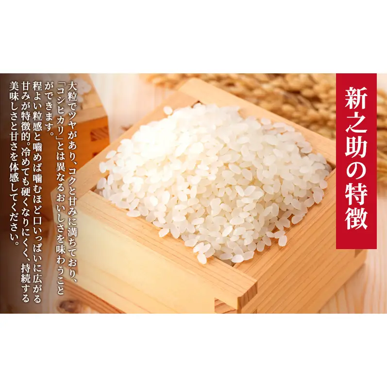 定期便 3回配送 令和8年産 新潟県上越市産 特別栽培米 新之助 5kg（5kg×3ヶ月） ご飯 おにぎり