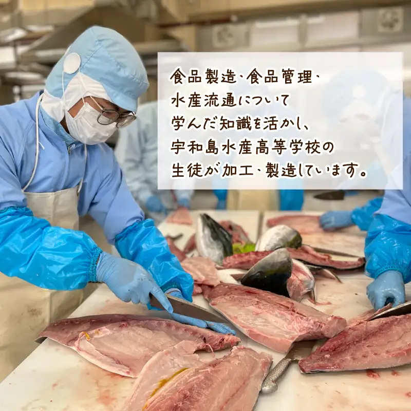 ＼生徒が開発 学校で製造しました／　水高缶詰 4種 7缶 セット 宇和島水産高等学校 缶詰め D011-213001