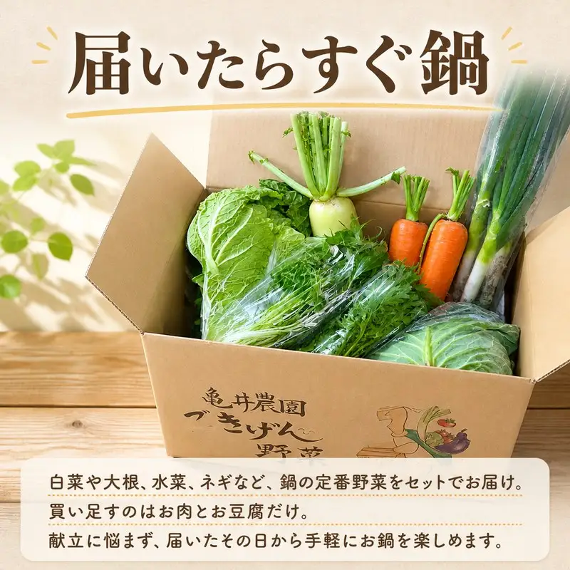 野菜セット 5～6人前 鍋 鍋野菜 10種類 