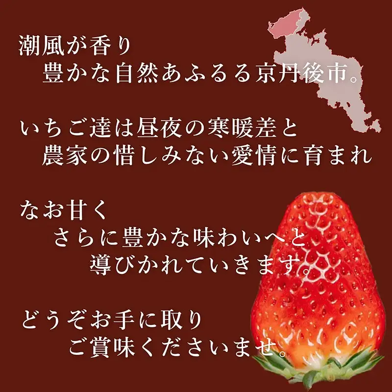 【限定100個】先行予約　京丹後産いちご堅しろう　400g以上（9～12粒）　いちご、イチゴ、あきひめ、章姫、京丹後、丹後、フルーツ、美食