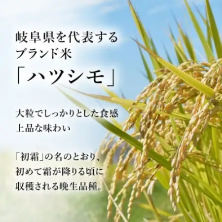 令和8年産 岐阜県産ハツシモ 精米 5kg　FTA286【1788716】