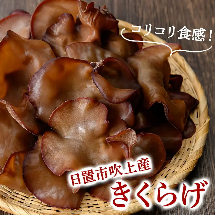 No.1404 ＜数量限定＞きくらげ混ぜご飯の素＆黒毛和牛ときくらげのしぐれ煮(計450g) 鹿児島県産 きくらげ 黒毛和牛 混ぜるだけ しぐれ煮 おつまみ おかず 惣菜 常温 常温保存 パック 備蓄 【アグリハートガイア】