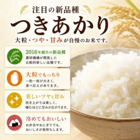 【毎月定期便】つきあかり　精米　5kg全2回【4094718】