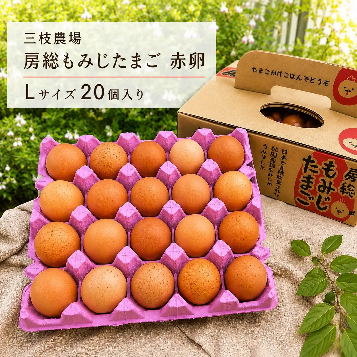 【定期便6回】 農場直送 房総もみじたまご Lサイズ20個  |三枝農場  赤卵 赤玉  君津市
