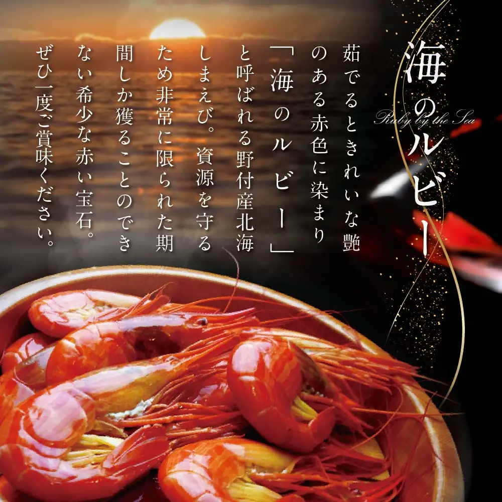 北海道野付産 北海シマエビ Mサイズ 500g