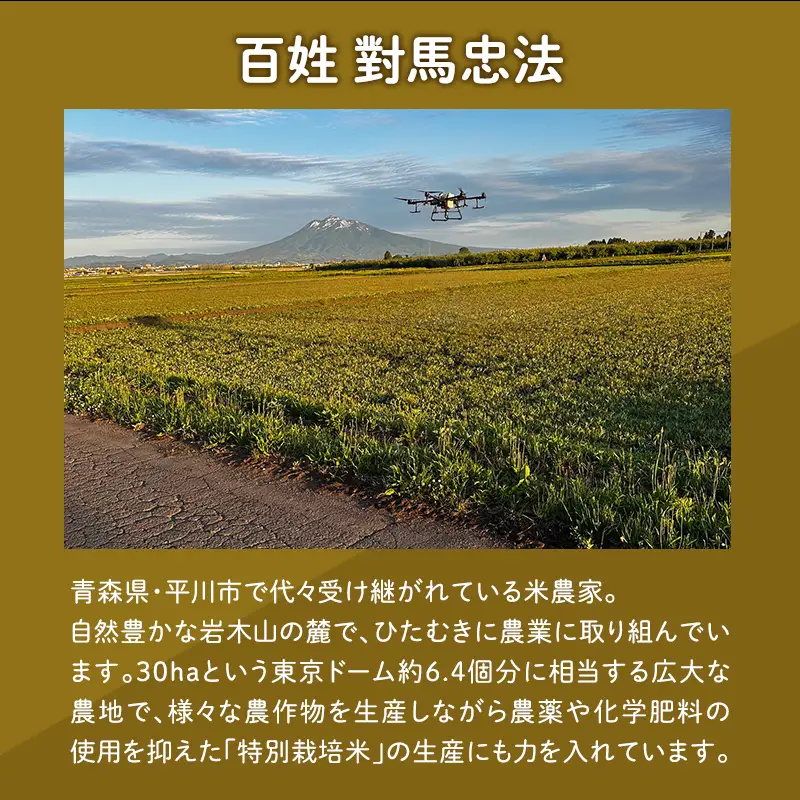 ≪令和8年産 先行予約≫4月中旬よりお届け! 青森県平川市産まっしぐら10kg(玄米)