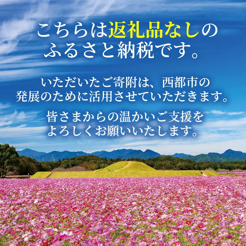 【返礼品なし】宮崎県西都市 寄附のみの応援受付（1口 50,000円）＜1-17a＞