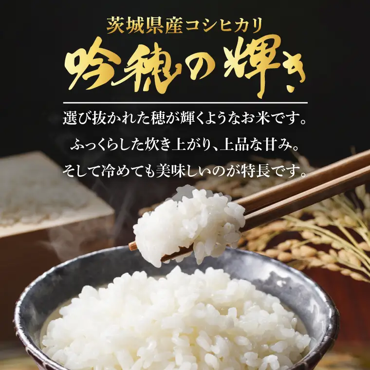 【3ヵ月定期便】＜令和8年産＞ 新米 30kg（5kg×6袋）（茨城県産）_AR024