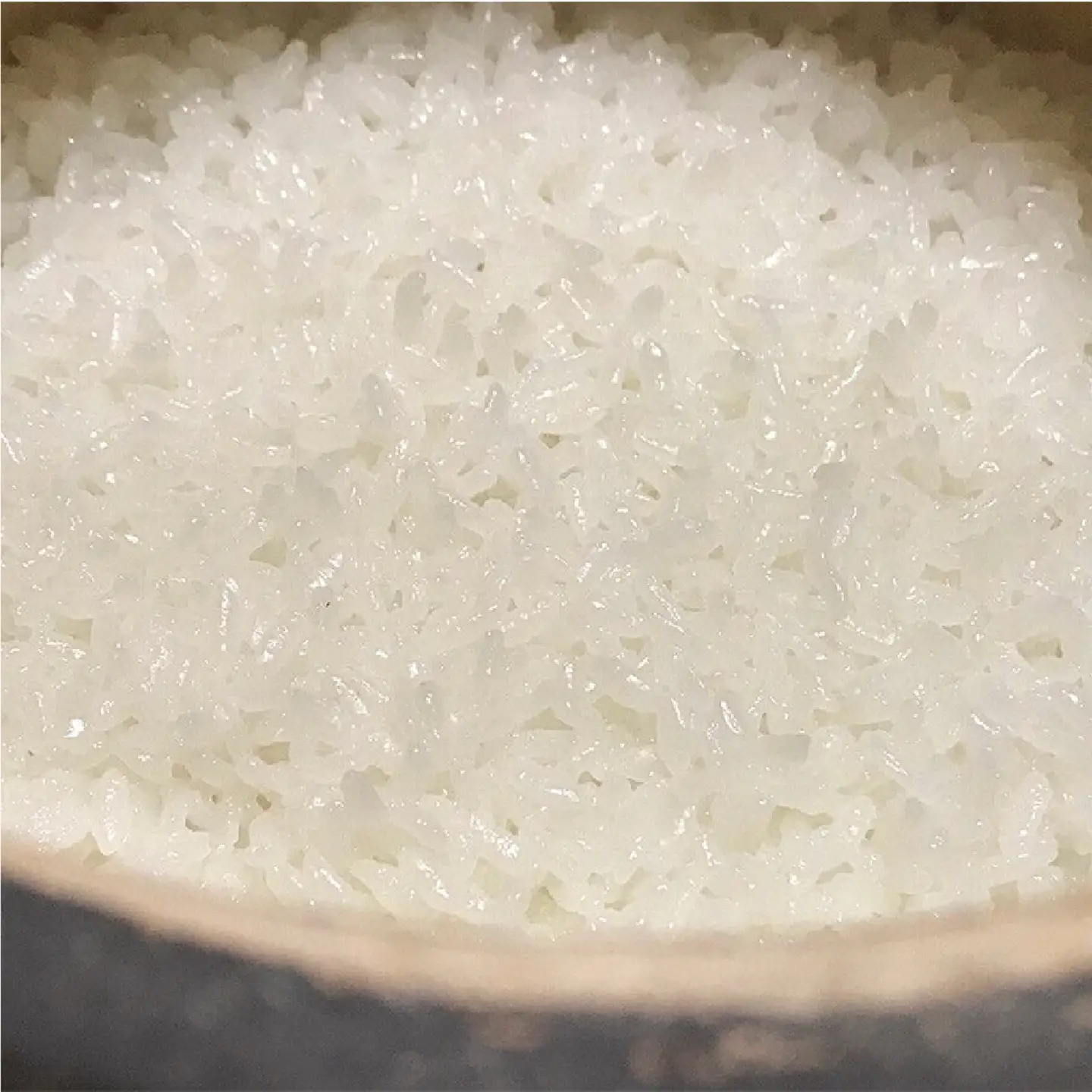 新米 令和8年産 【先行予約】 瀬戸内 自然栽培米 「朝日米」白米 10kg 無農薬 無肥料 米 自然栽培 こめ 岡山県 瀬戸内市 さしすせそ Wacca Farm