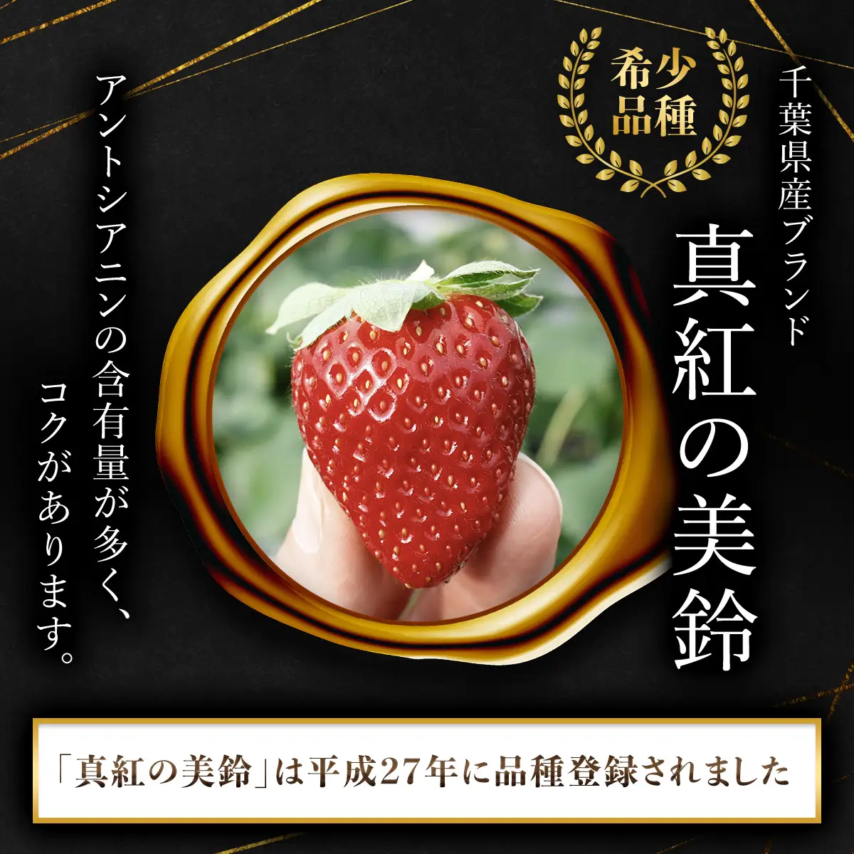 【先行予約】【2026年12月中旬より順次発送】希少品種 黒いちご 真紅の美鈴 3L30粒入り SMAN002