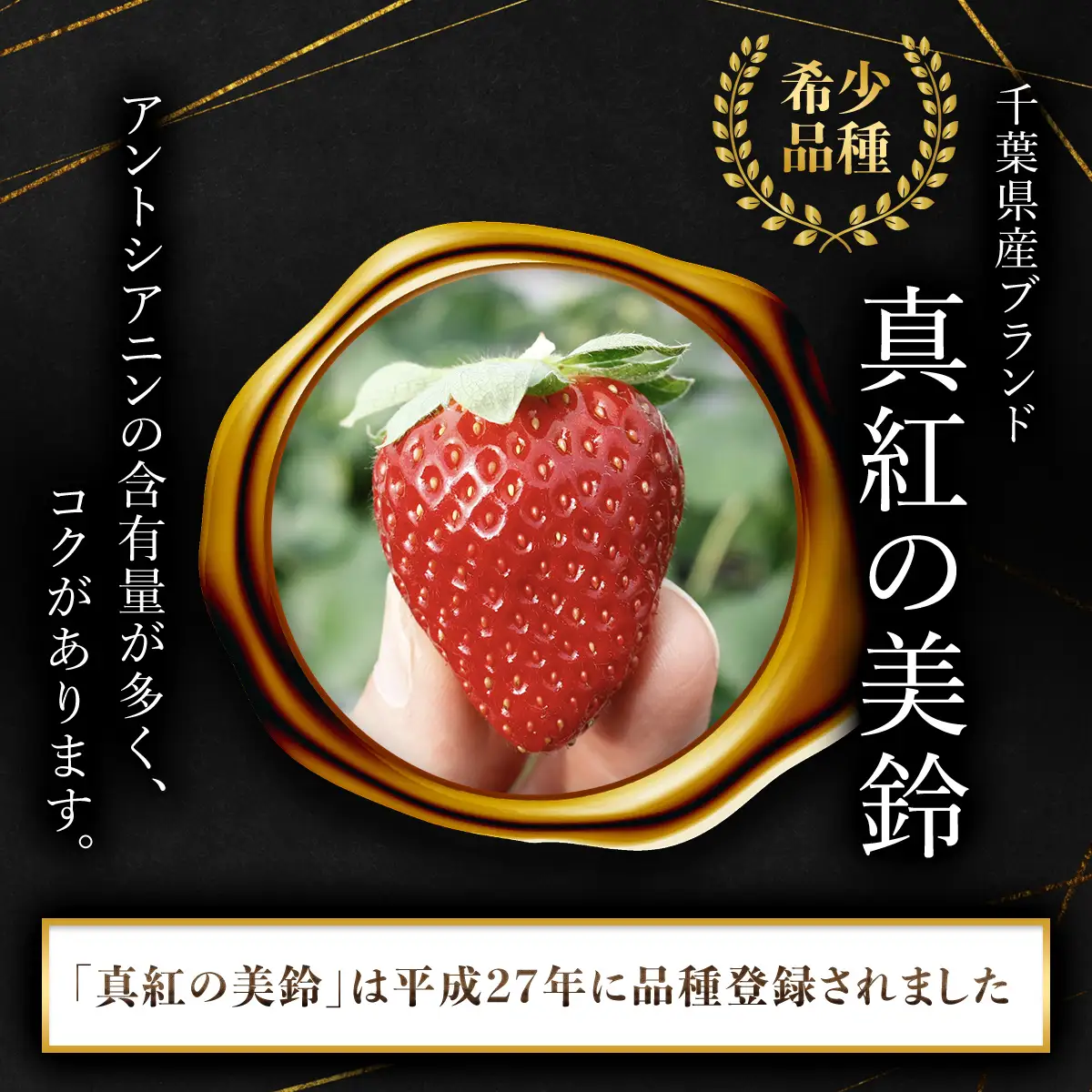 【先行予約】【2026年12月中旬より順次発送】希少品種 黒いちご 真紅の美鈴 4L24粒入り SMAN003