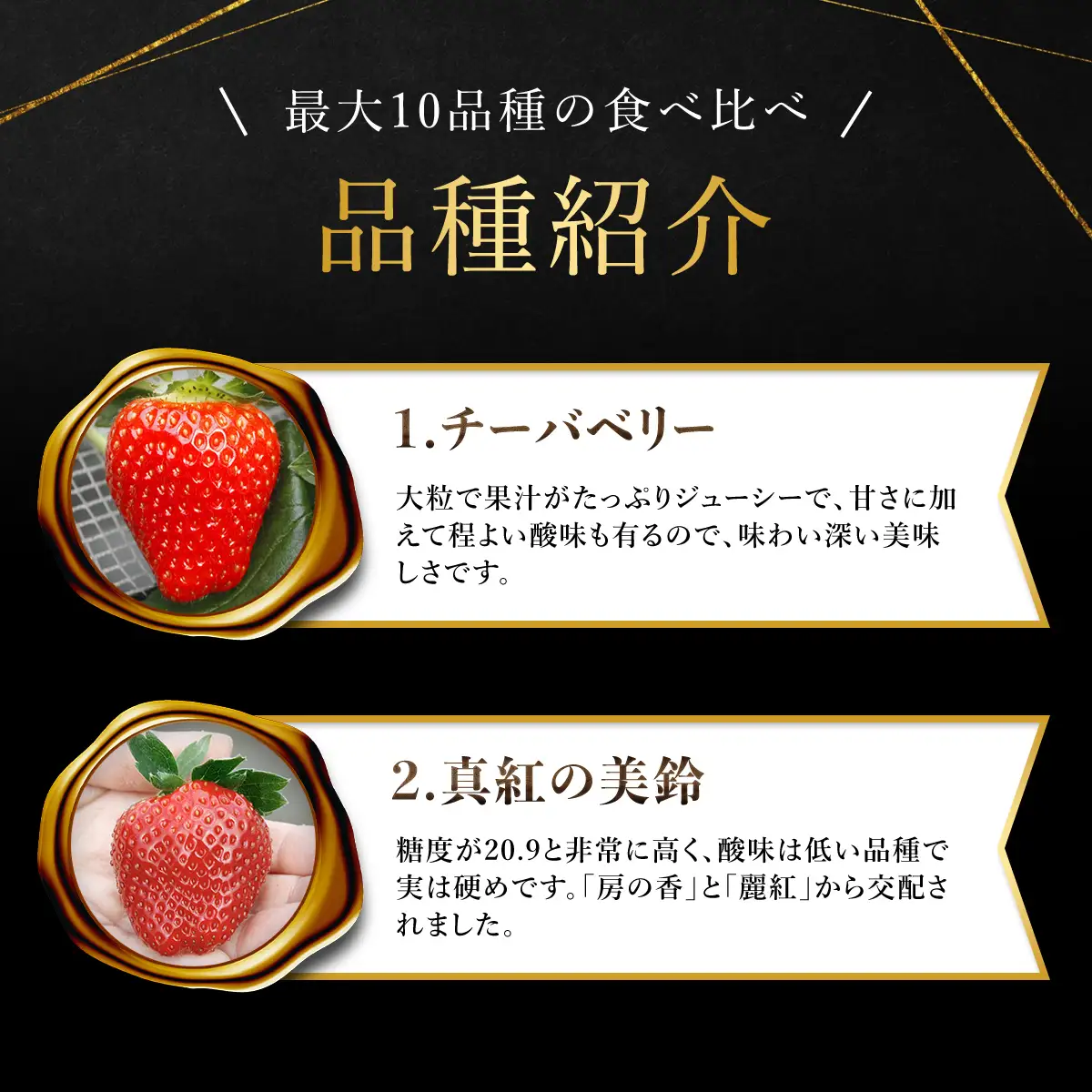 【先行予約】【2027年1月中旬より順次発送】いちご食べ比べセット（最大10品種の食べ比べ） SMAN004
