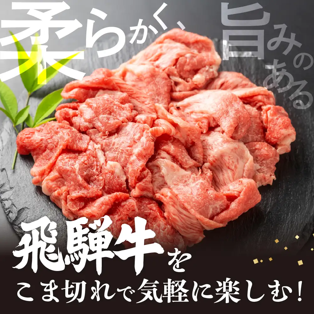 飛騨牛 こま切れ 1kg  小間切れ
