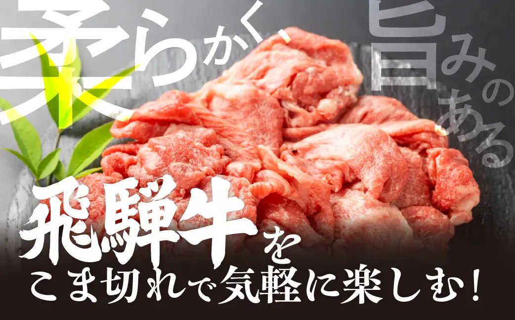 飛騨牛 こま切れ 500g  小間切れ