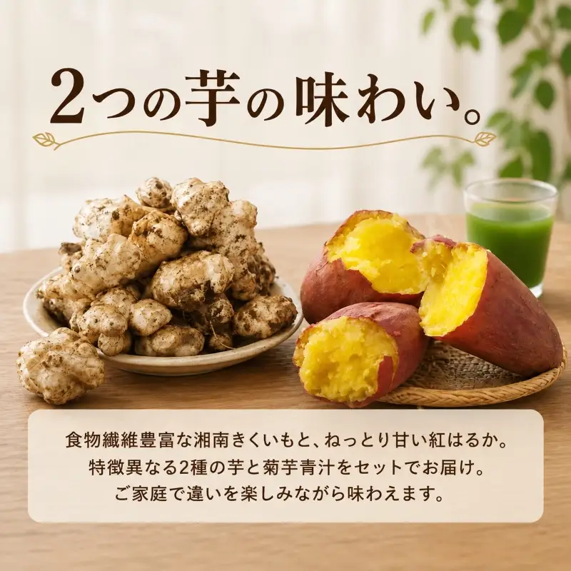  菊芋 きくいも 紅はるか さつまいも 各3kg 食べ比べセット