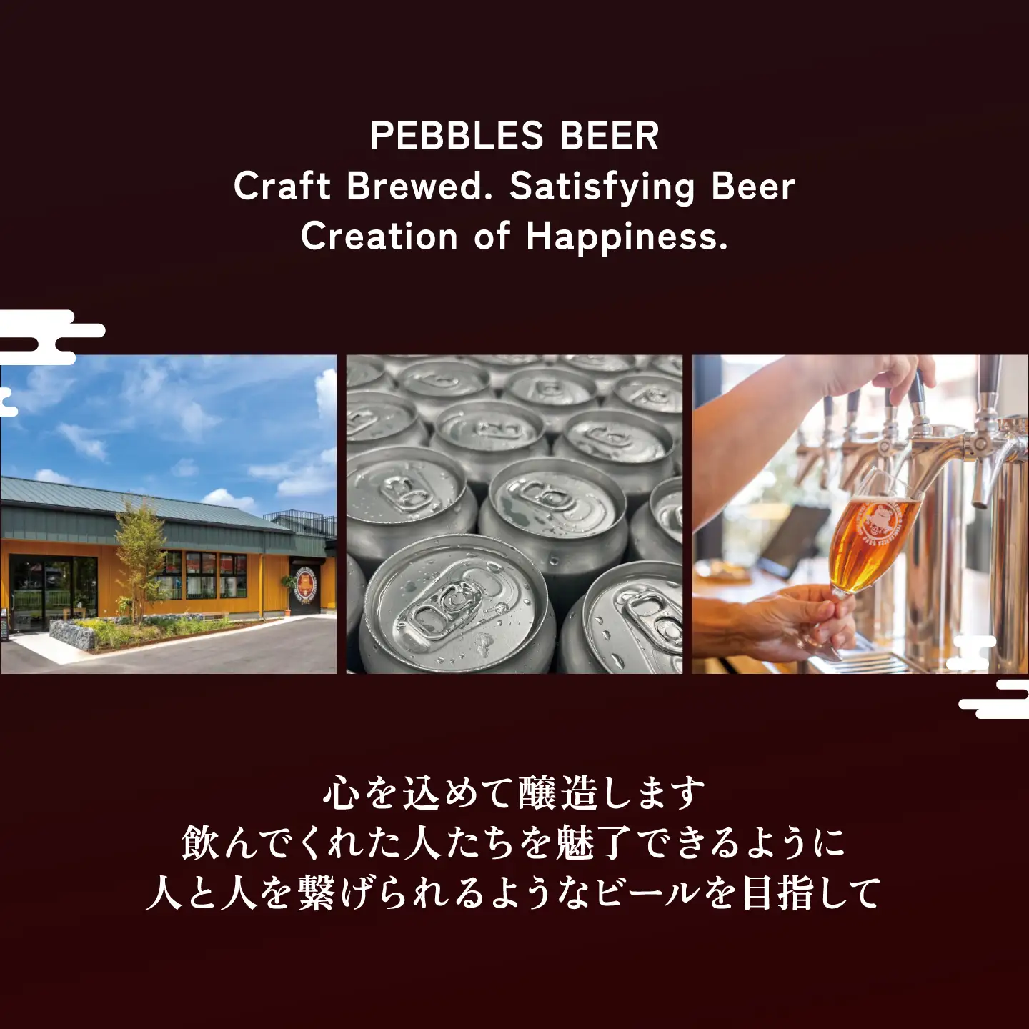 【3回定期便】クラフトビール 12本 つくばブルワリー ビール