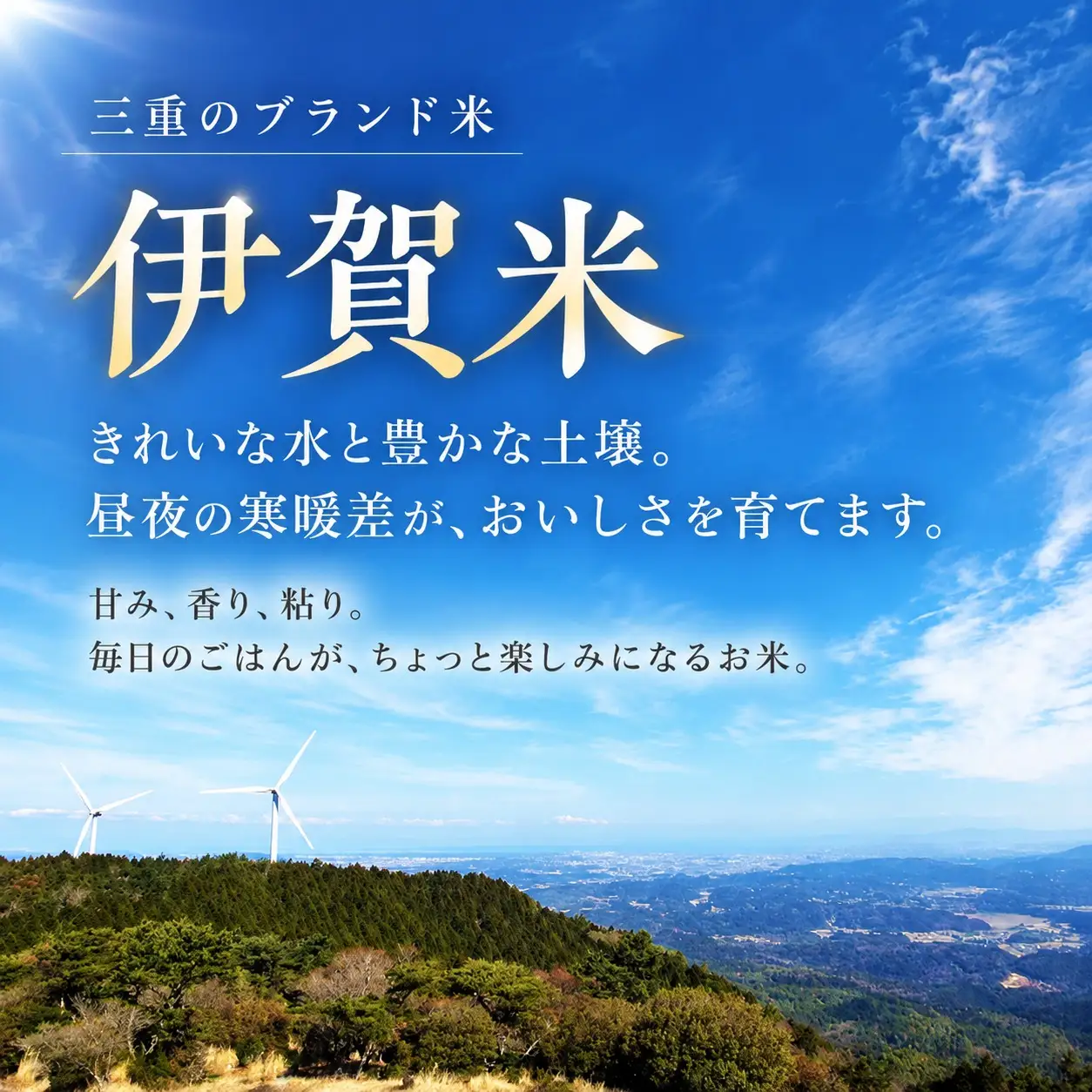 令和8年産 新米 伊賀米コシヒカリ 精米 5kg【tmbr0003】
