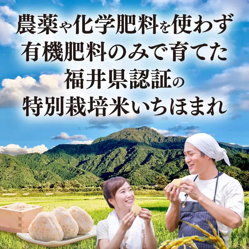 【令和8年産】特別栽培米 いちほまれ うまみ玄米 5kg 化学肥料不使用 ＜温度と湿度を常時管理し新鮮米を出荷！＞／ 高品質 鮮度抜群 福井県あわら産 ブランド米 お米 [aw071-b011]